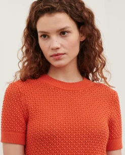 Femme Comptoir des Cotonniers Pull A Manches Courtes En Coton